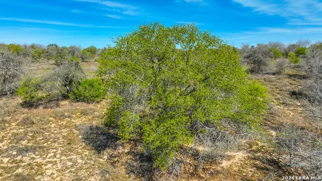 9521 Fm 1303 Floresville, TX 78114